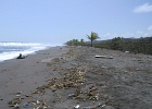 Beach at Tortuguero   Tortuguero
